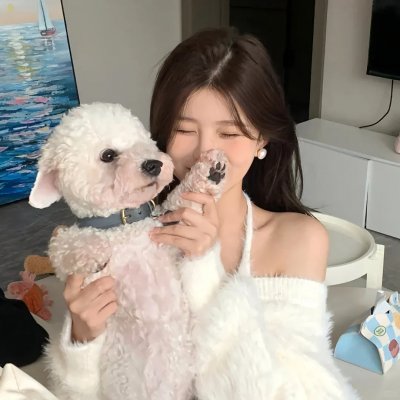 青春谎言之旅
